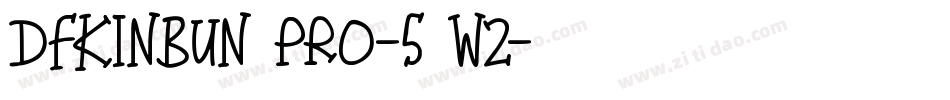 DFKinBun Pro-5 W2字体转换